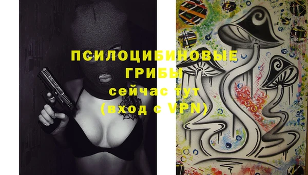 прущие крисы Абинск