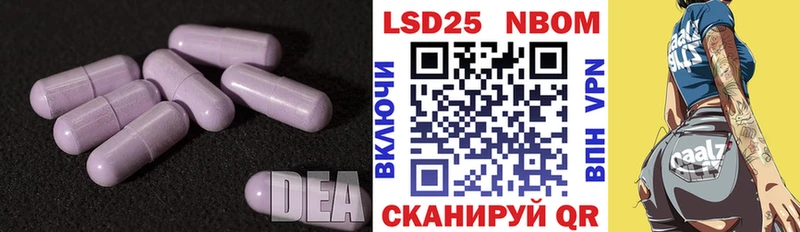 купить наркоту  Судогда  LSD-25 экстази ecstasy 