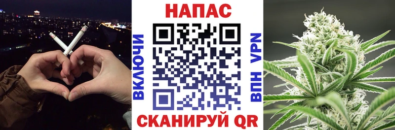 Шишки марихуана семена мега маркетплейс Судогда
